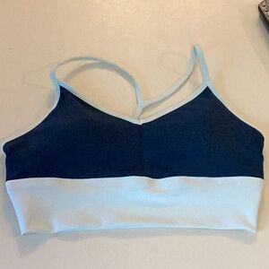 Gaian large blue bra.